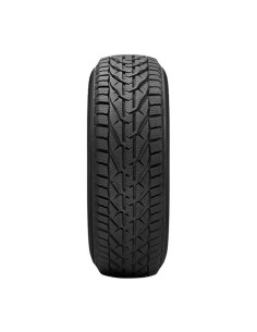 TAURUS WINTER 195/65 R15 91H