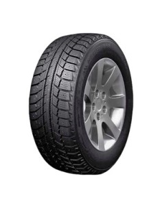 DOUBLE STAR DW07 195/70 R14 91T