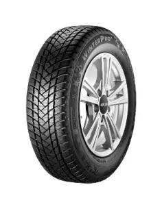 GT-RADIAL WINTERPRO2 BSW 205/60 R16 96H