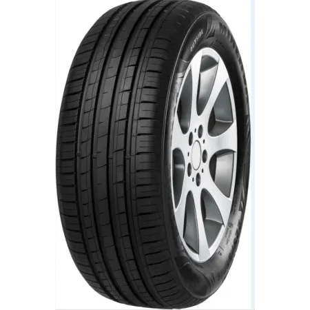 MINERVA 205/55 R16 91V F209 | pneumaticidiretti.com