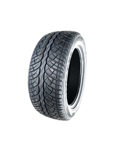 ANTARES MAJORIS M5 255/30 R22 95W | PneumaticiDiretti