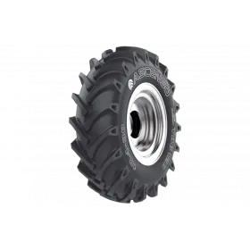 Reifen ASCENSO auf PneumaticiDiretti.com