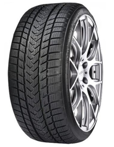 GRIPMAX PRO WINTER XL 205/65 R17 100V | PneumaticiDiretti