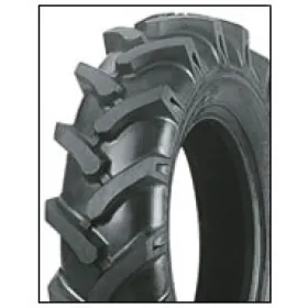 Pneumatico DEESTONE su PneumaticiDiretti.com