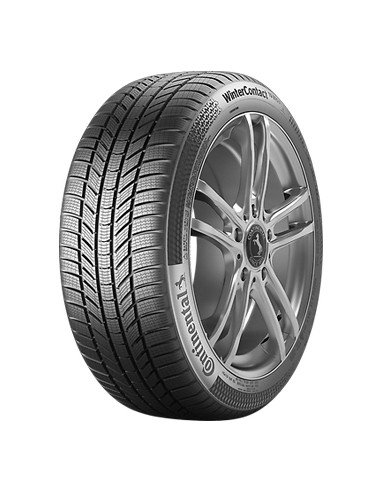 CONTINENTAL WinterContact TS870 P 225/55 R16 99H | PneumaticiDiretti