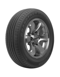 DUNLOP 225/60 R18 100H GRANDTREK PT30
