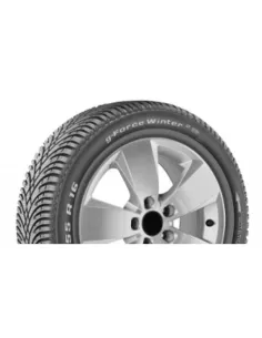 BF-GOODRICH G-FORCE WINTER2 195/65 R15 91T