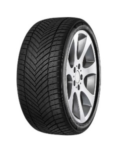 MINERVA AS MASTER 225/65 R17 102V