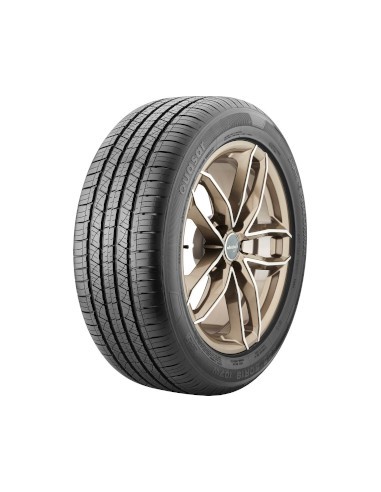 STAR PERFORMER QUASAR 225/55 R18 102V