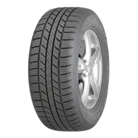 Pneu GOODYEAR sur PneumaticiDiretti.com