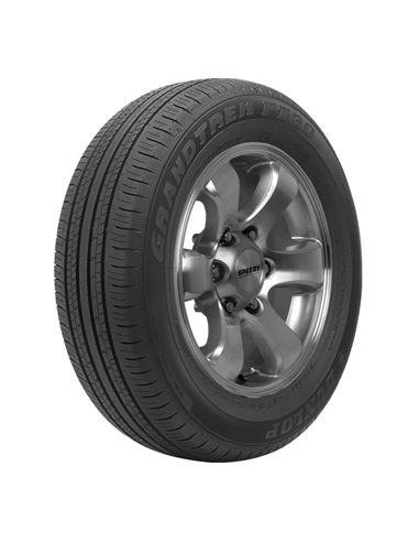 DUNLOP PT30 GRANDTREK 225/60 R18 100H