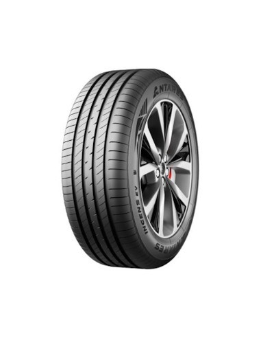 ANTARES INGENS EV XL BSW 215/50 R17 95V