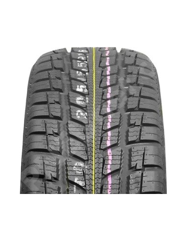 ROADSTONE N PRIZ 4S XL BSW M+S 3PMSF 225/45 R17 94V