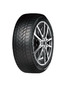 DELINTE WINTER WD1 M+S 3PMSF 195/60 R15 88H