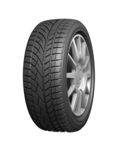 EVERGREEN EW 66 225/45 R17 91H