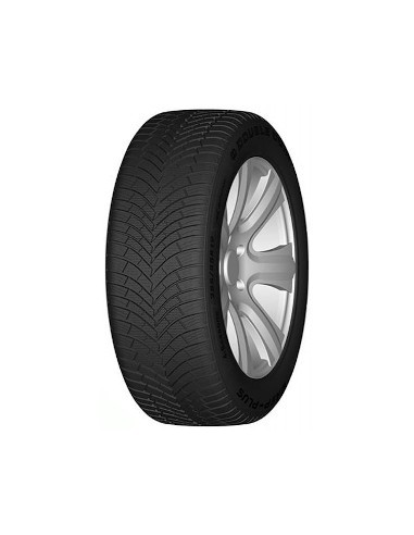 DOUBLE COIN DASP+ XL BSW M+S 3PMSF 195/65 R15 95V