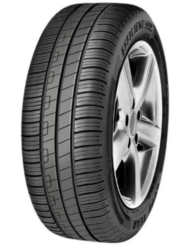 GOODYEAR 205/55 R16 91V EFFICIENTGRIP PERFORMANCE (FIAT) reifen
