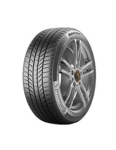 CONTINENTAL TS870P FR 255/45 R19 104V