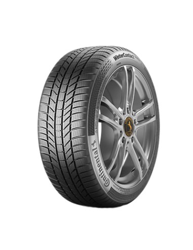 CONTINENTAL TS870P FR 255/45 R19 104V