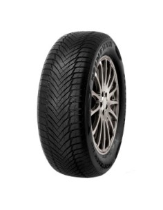 MINERVA FROSTRACK HP M+S 3PMSF 195/55 R16 87H