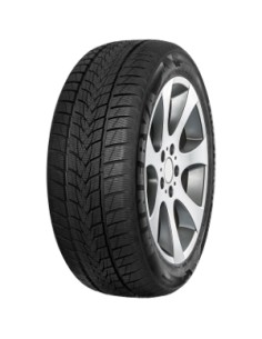 MINERVA FROSTRACK UHP XL M+S 3PMSF 205/55 R17 95V