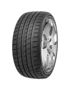 MINERVA S220 XL M+S 3PMSF 255/50 R19 107V