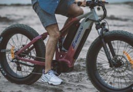 Bici elettriche: guida completa, prezzi e modelli popolari come ENGWE