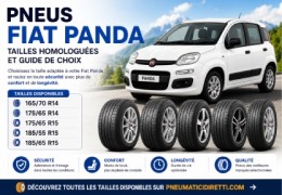 Pneus Fiat Panda : dimensions, prix et choix